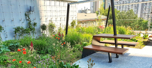 Image Example for roof garden