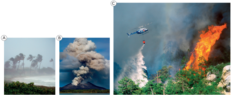 Tiếng Anh 11 Unit 4 4.6 Use of English 0 1