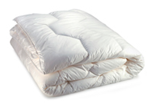 Image Example for duvet