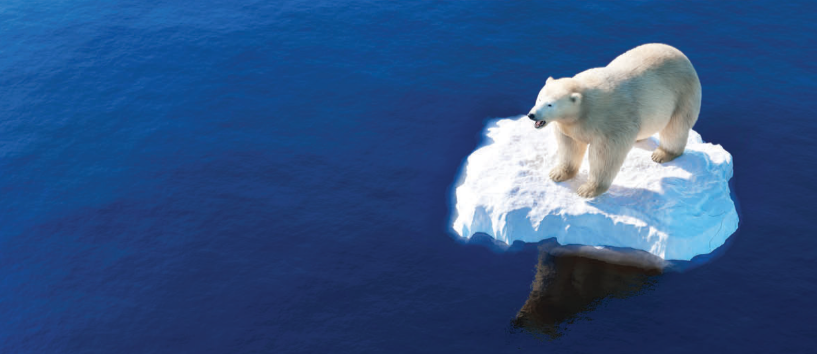 Tiếng Anh 11 Unit 4 Lesson 1 0 1