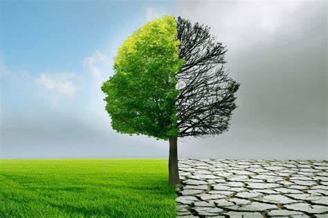 Tiếng Anh 11 Unit 4 Lesson 3 0 1