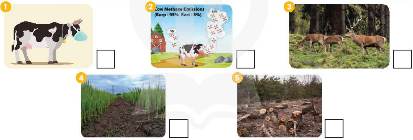 Tiếng Anh 11 Unit 5 Communication and culture/ CLIL 2 1