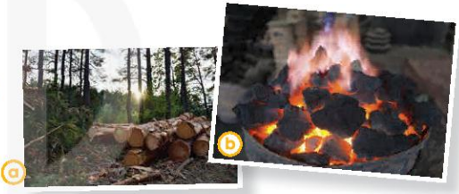 Tiếng Anh 11 Unit 5 Reading 0 1