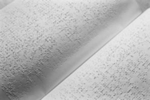 Image Example for Braille