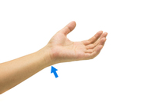 Image Example for wrist