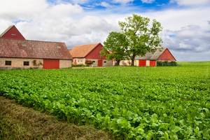 Image Example for farmland