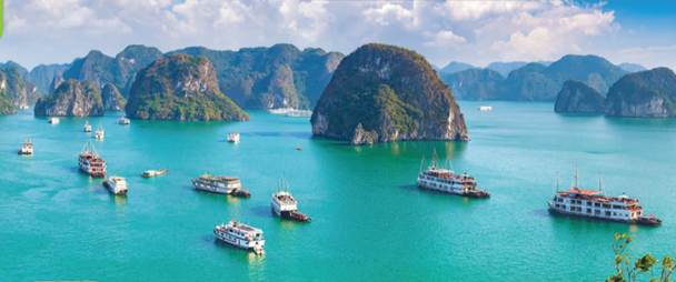 Tiếng Anh 11 Unit 6 Lesson 1 0 1