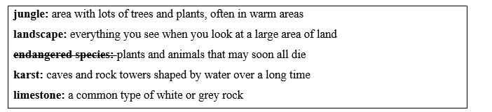 Tiếng Anh 11 Unit 6 Lesson 1 1 1