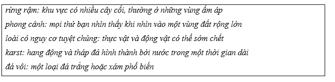 Tiếng Anh 11 Unit 6 Lesson 1 1 3