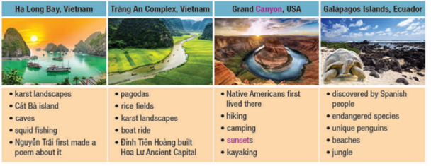 Tiếng Anh 11 Unit 6 Lesson 1 18 1