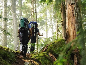 Image Example for explore