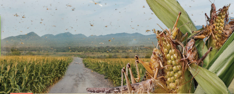 Tiếng Anh 11 Unit 7 Lesson 1 0 1