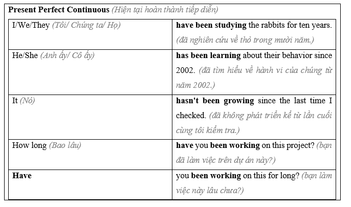 Tiếng Anh 11 Unit 7 Lesson 1 11 1