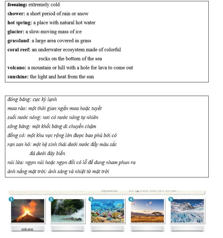 Tiếng Anh 11 Unit 7 Lesson 2 1 1