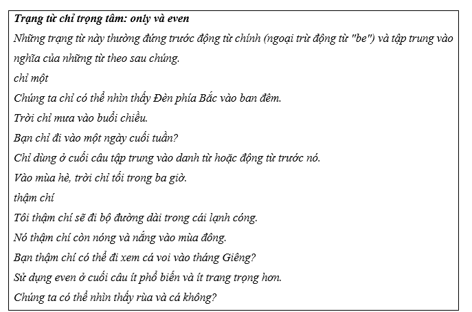 Tiếng Anh 11 Unit 7 Lesson 2 10 2