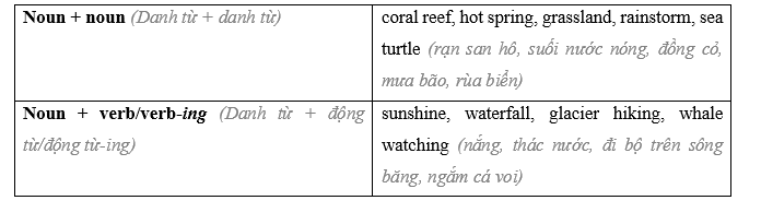 Tiếng Anh 11 Unit 7 Lesson 2 12 2