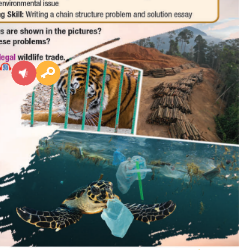 Tiếng Anh 11 Unit 7 Lesson 3 0 1