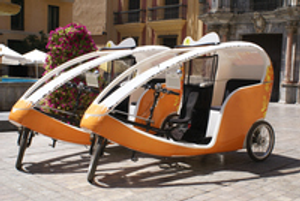 Image Example for pedicab