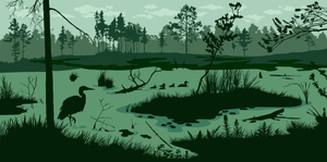 Image Example for swamp