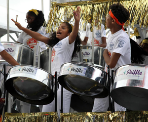 Image Example for steelpan