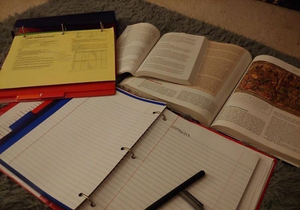 Image Example for assignment