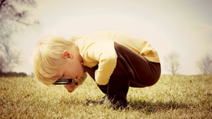 Image Example for curious