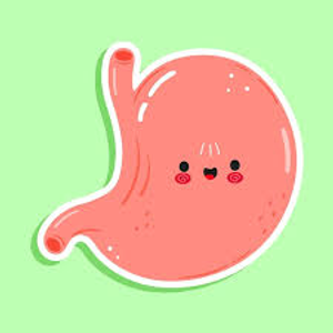 Image Example for stomach 