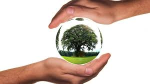 Image Example for conservation 