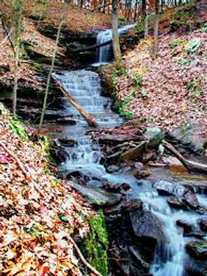 Image Example for stream 