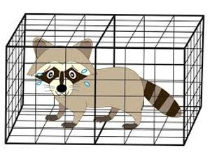 Image Example for capture