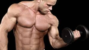 Image Example for muscle