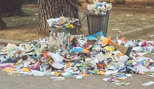 Image Example for litter