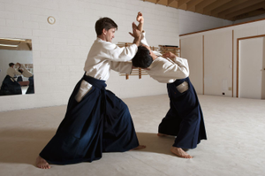 Image Example for martial art