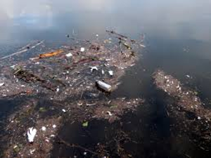 Image Example for contaminated