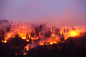 Image Example for wildfire