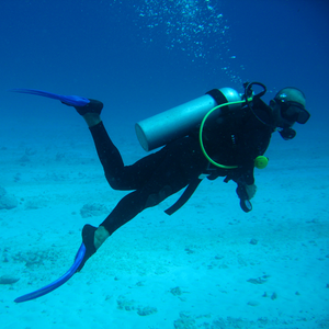 Image Example for scuba diver