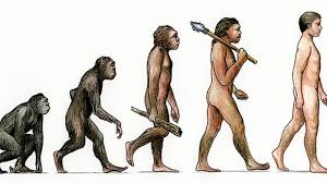 Image Example for evolution