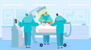 Image Example for surgeon