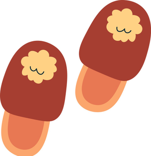 Image Example for slipper
