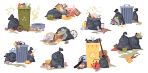 Image Example for litter