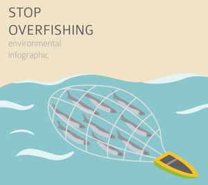 Image Example for overfishing
