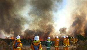 Image Example for smoke