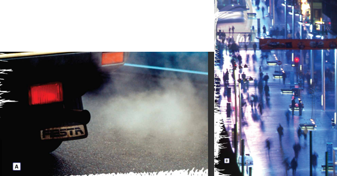 Tiếng Anh 12 Unit 2 2F. Reading 0 1