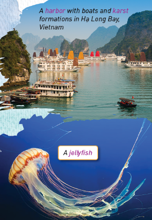 Tiếng Anh 12 Unit 2 Lesson 3 0 1