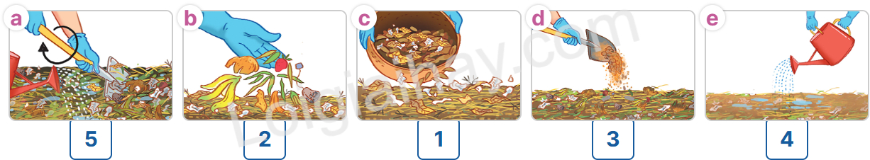 Tiếng Anh 12 Unit 3 Listening 1 2