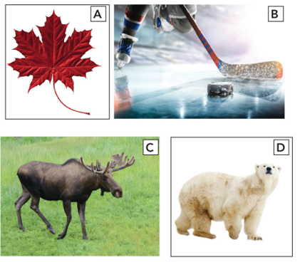 Tiếng Anh 12 Unit 6 6.2 Grammar 0 1