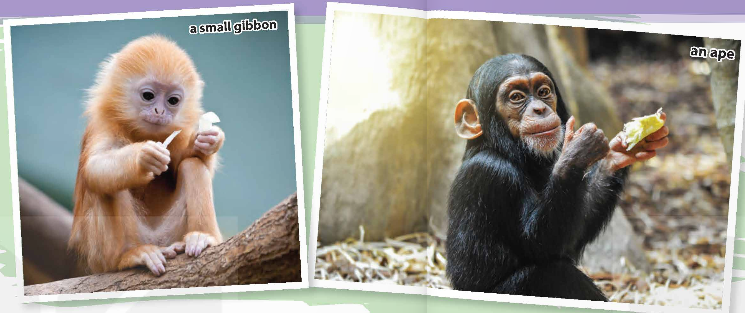 Tiếng Anh 12 Unit 8 Getting Started 0 1