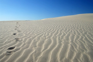 Image Example for desert