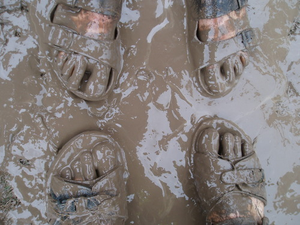 Image Example for mud
