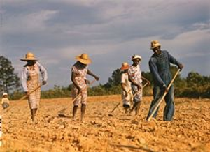 Image Example for farmer